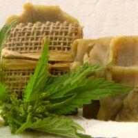 �ih�avov� pevn� �amp�n