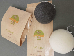 Konjac pongia